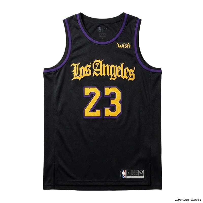 LBJ No.23 black-purple basketball jersey